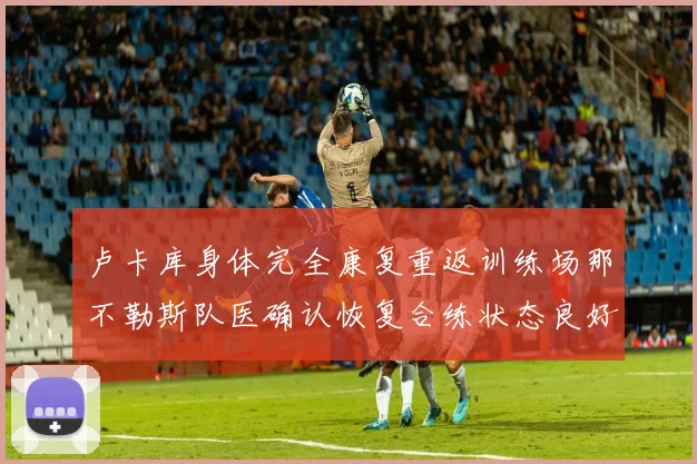 卢卡库身体完全康复重返训练场那不勒斯队医确认恢复合练状态良好